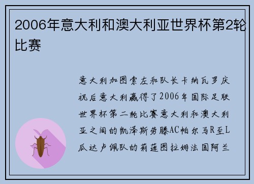 2006年意大利和澳大利亚世界杯第2轮比赛